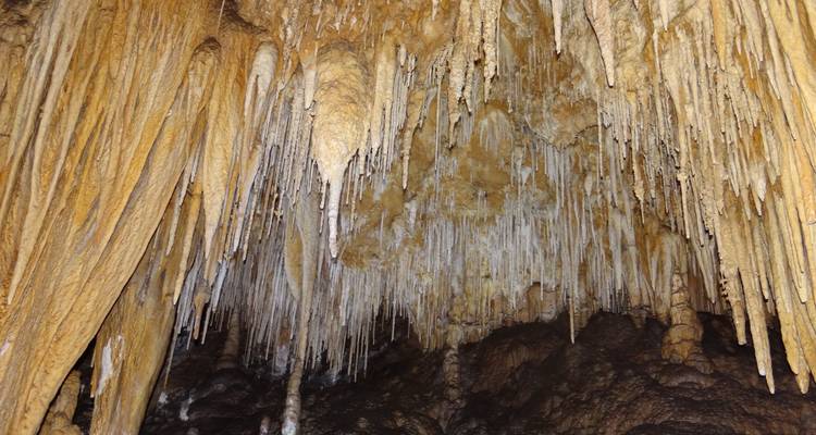 5 Day Tasmania private tour. - Adventure Trails Tasmania 4