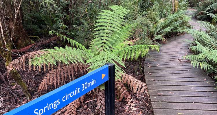 5 Day Tasmania private tour. - Adventure Trails Tasmania 7