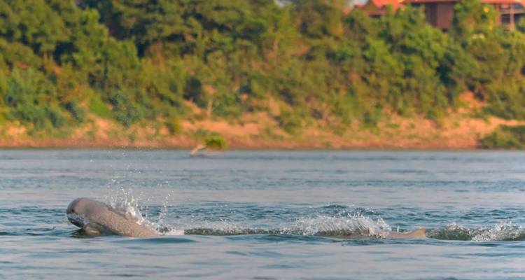 Cambodge : Sortez des sentiers battus - Siem Reaper Travel 2