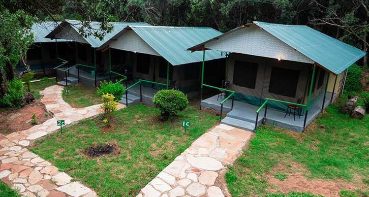 Several tents with small garden area in a campsite.