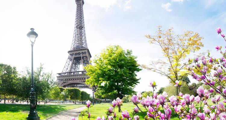 Eiffelturm umgeben von blühenden Blumen in Paris.