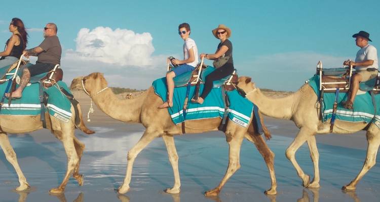 Circuit royal au Rajasthan - Delhi, Agra, Jaipur, Bikaner, Jaisalmer, Jodhpur, Udaipur - 10 jours - Wonderful Holidays 1