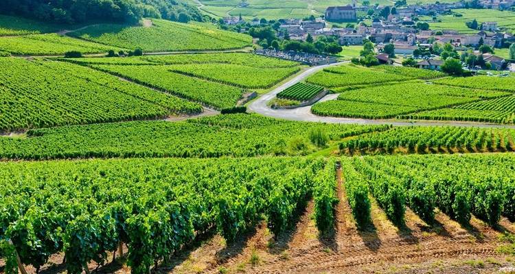 Loire Valley: Walks, Wine & Chateaux - Exodus Adventure Travels 3