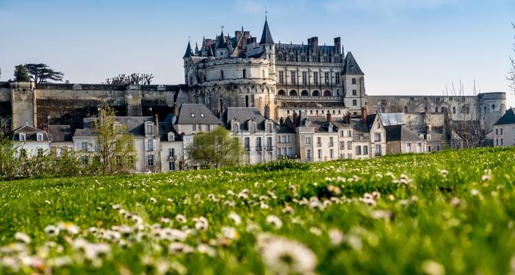 Un château historique perché sur une colline s'élève au-dessus d'une rangée de maisons villageoises vue à travers une prairie parsemée de fleurs.