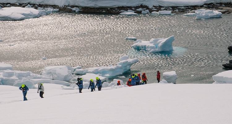 L'expédition de Shackleton aux Malouines, en Géorgie du Sud et en Antarctique - Ocean Endeavour - Intrepid Travel 6