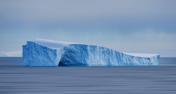 Le meilleur de l'Antarctique : Découverte des baleines - Intrepid Travel 1