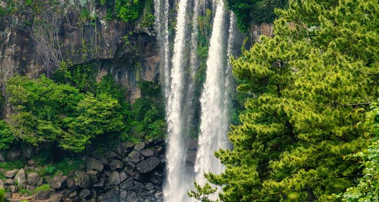 Dos corrientes gemelas de una exuberante cascada precipitándose por acantilados cubiertos de musgo en la Isla de Jeju.