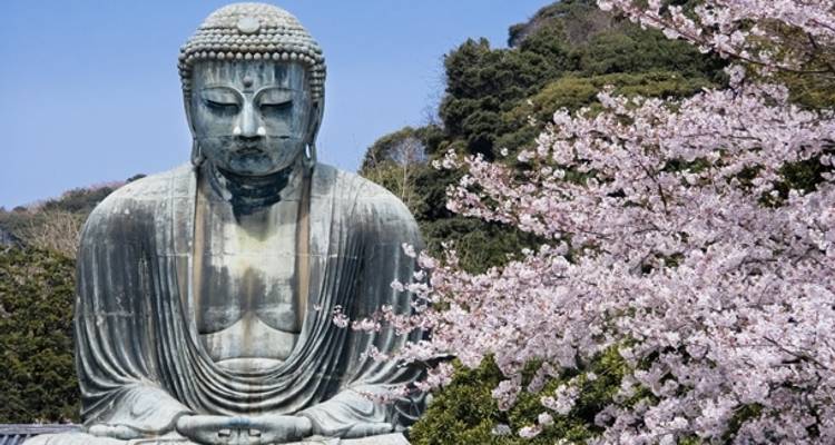 Explorateur essentiel du Japon - 13 jours - On The Go Tours 8