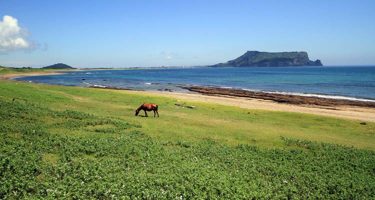 Caballo solitario pastando en una llanura costera verde con una isla volcánica emergiendo de las aguas azules del océano