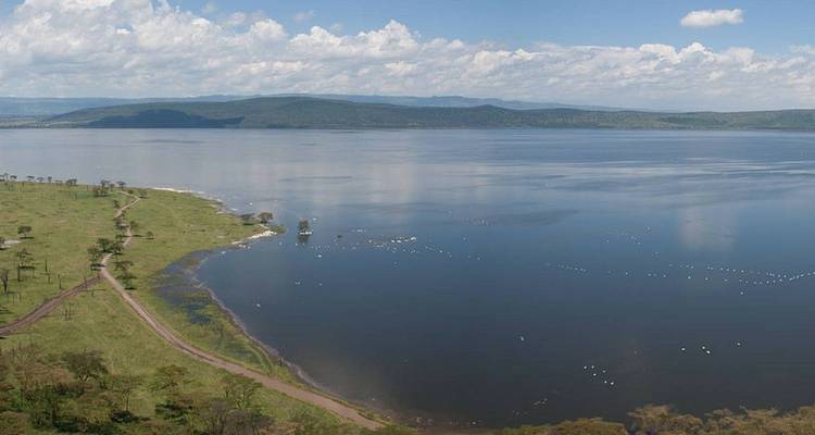 The Ultimate 8-Day Masai Mara Migration Safari: Explore Kenya's Top Destinations with Guarantee price. - Africa Natural Tours 6