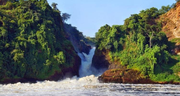 9 Days Primate and Wildlife Safari - Ovacado Adventures 1