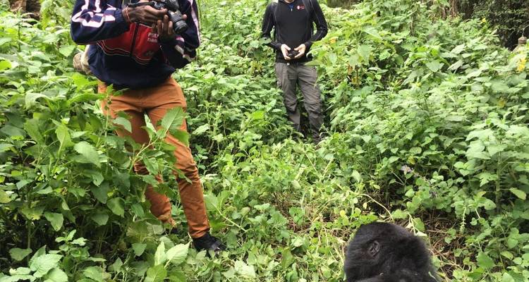 Viaje de 6 días a Uganda para ver la fauna y los gorilas - Ovacado Adventures 2