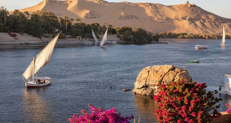 Traditional boats on the Nile River with desert and trees in the background.