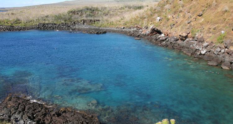 Descubrir las Encantadoras Islas Galápagos - Ecuador Wonders 6