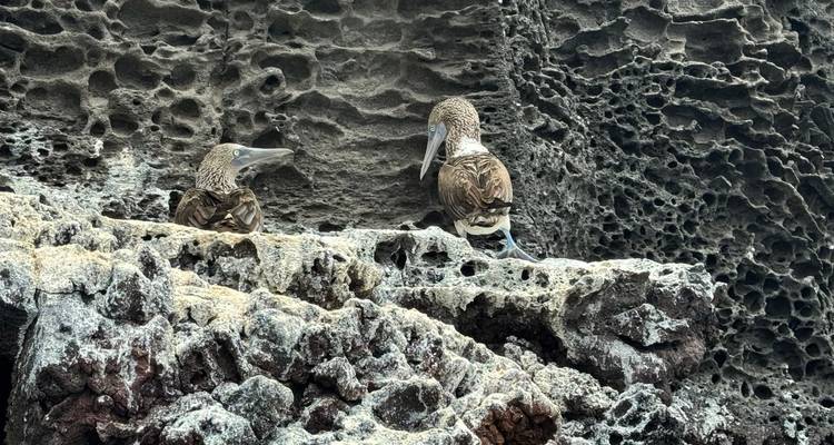 Descubrir las Encantadoras Islas Galápagos - Ecuador Wonders 1