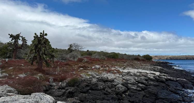 Descubrir las Encantadoras Islas Galápagos - Ecuador Wonders 7