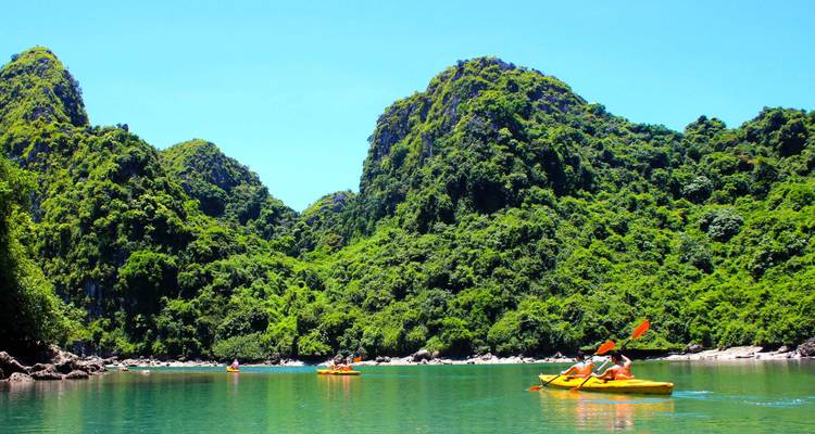 Mensen die kajakken in een weelderig groene waterweg omgeven door bergen op Cat Ba eiland, Vietnam.