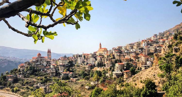 Une vue panoramique d'une ville à flanc de colline avec des bâtiments et des arbres.
