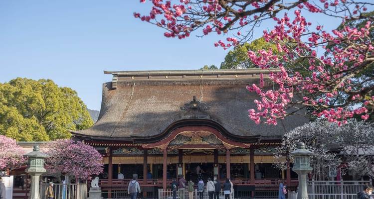 Les incontournables de l'île de Kyushu, Japon - Yellowwood Adventures Ltd 5