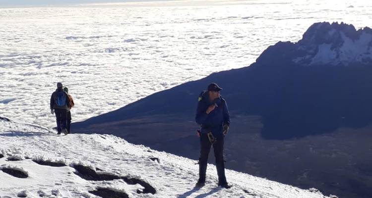 7 Días de Escalada por la Ruta Lemosho - kilimanjaro habitas 3