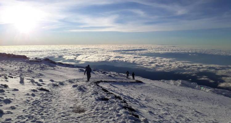 7 Días de Escalada por la Ruta Lemosho - kilimanjaro habitas 6