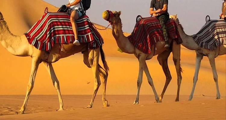 El cielo de Egipto - Pharaohn Tours 2