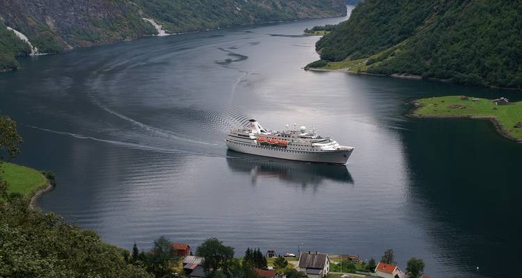 Cruise ship navigating through a fjord with mountainous scenery.