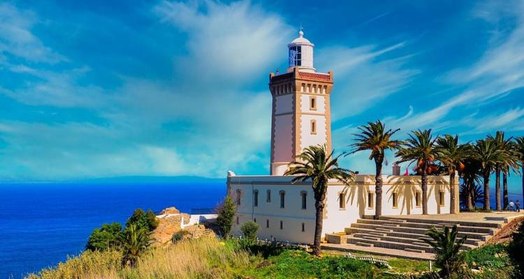 A lighthouse surrounded by palm trees with a clear blue sky.