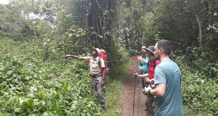 Ruta de 9 días del circuito norte del Kilimanjaro - Climbing Kilimanjaro 2