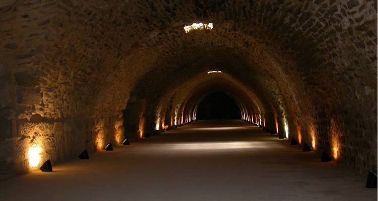 08 jours | Le meilleur de la Jordanie - Flow Travel and Tourism 9