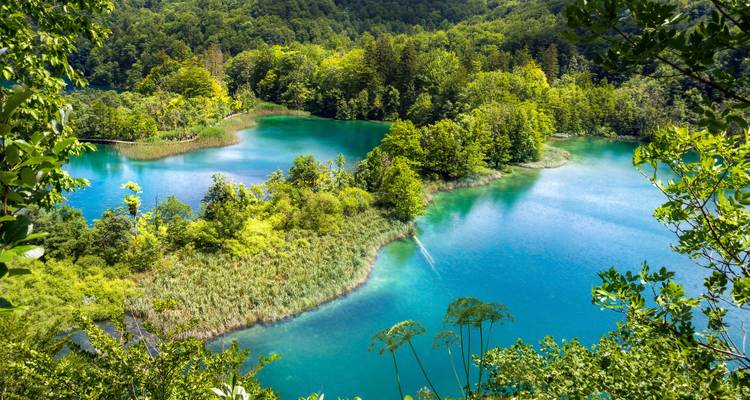Lacs d'un vert luxuriant dans un cadre de parc national.