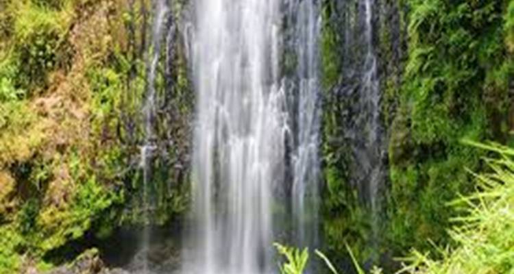 Wasserfall mit üppig grüner Umgebung.