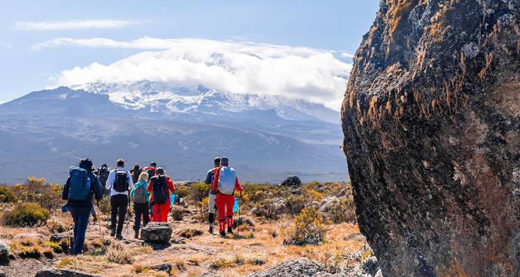 Vive el Desafío: 3 días de Escalada al Kilimanjaro por la Ruta Marangu - Africa Natural Tours 2