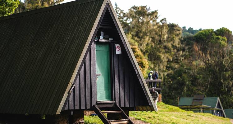 Vive el Desafío: 3 días de Escalada al Kilimanjaro por la Ruta Marangu - Africa Natural Tours 6