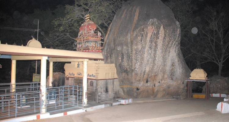 Le charme de Coimbatore : Une expédition culturelle - Agora Voyages OPC Pvt Ltd 1