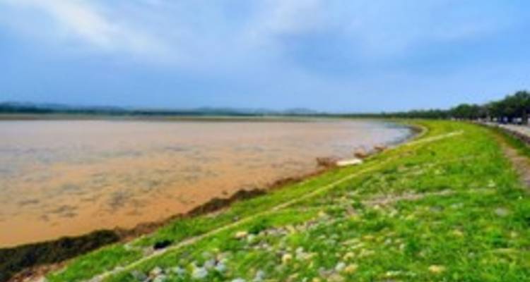 Vibrant Chandigarh City Tour - Agora Voyages OPC Pvt Ltd 4