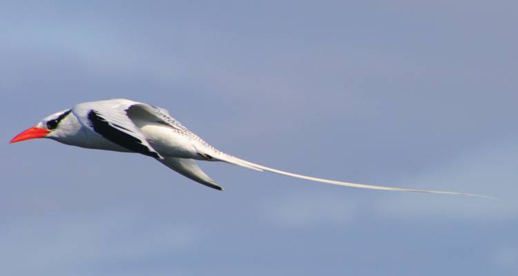 Explorez les merveilles des Galápagos lors de ce circuit de 5 jours - Ecuador Wonders 4