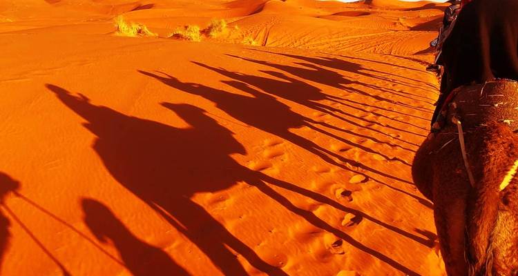 9 Days The Southern Oasis, Kasbahs & Desert Morocco Cultural Tour from Marrakech - Morocco Social Impact Travels 8