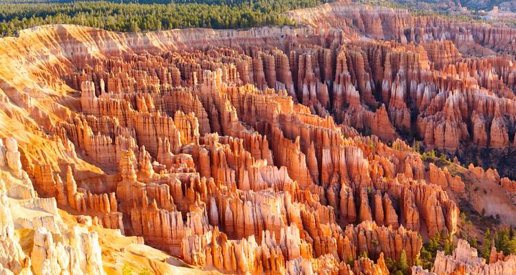 Levendige hoodoos in Bryce Canyon.