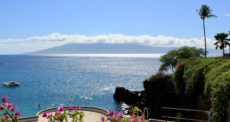 Scenic coastline with vibrant flowers and an ocean view
