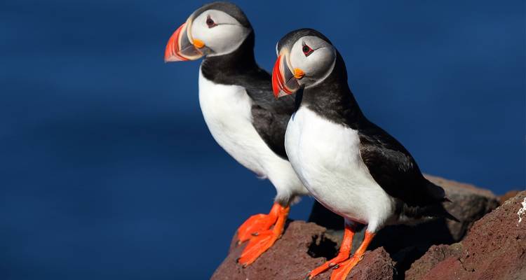 Rodea Islandia - 12 días - On The Go Tours 2