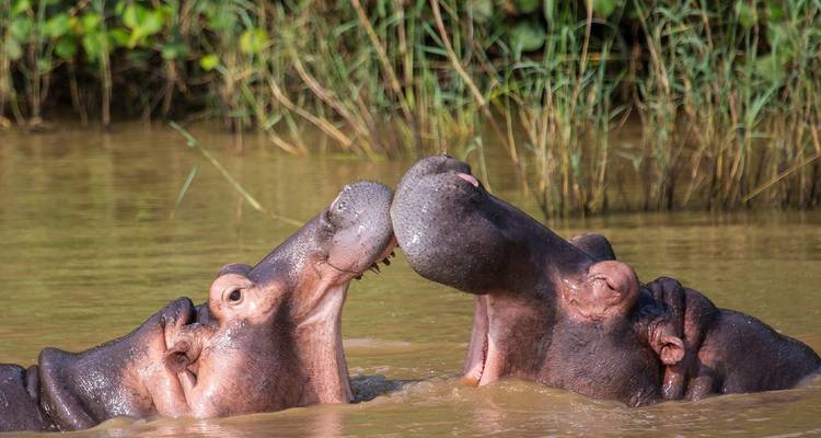 Sensational South Africa Southbound - 19 days - On The Go Tours 6