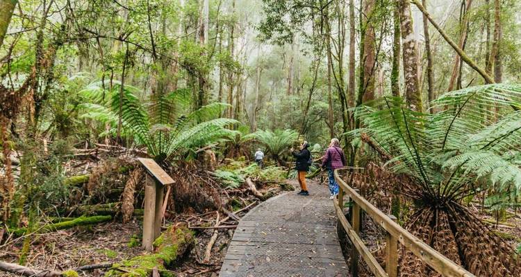【Tasmania】Hobart & Launceston All-Inclusive Escape 10 Days Touring Package - Delightful Travel 4