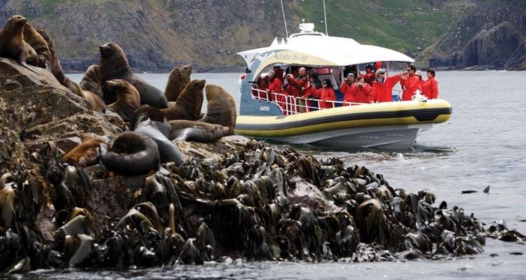 【Tasmania】Hobart & Launceston All-Inclusive Escape 10 Days Touring Package - Delightful Travel 8