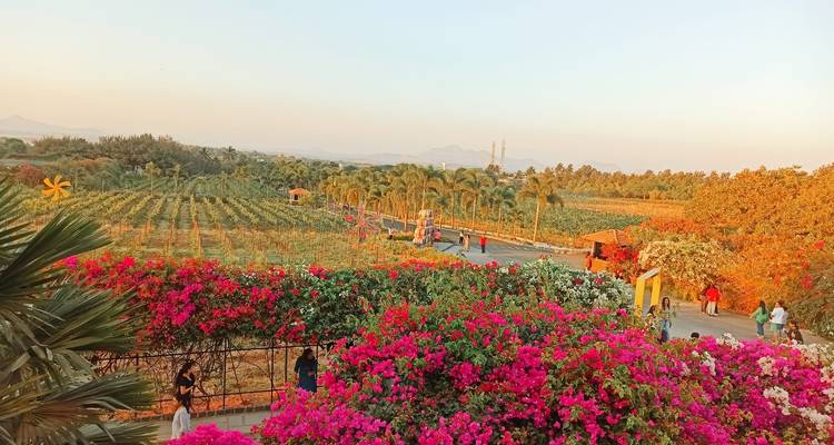 Nashik : la route des vins et des temples - Agora Voyages OPC Pvt Ltd 8