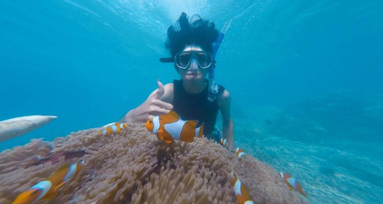 Sharm-Elsheikh - 4 jours - ETL Travel 6