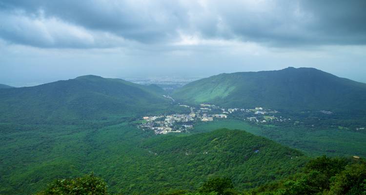 Vue panoramique de collines verdoyantes luxuriantes.