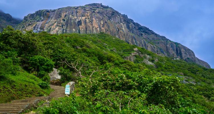 Montagne avec verdure et ciel nuageux.