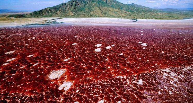 Luchtfoto van een levendige rode zoutvlakte met een berg op de achtergrond.