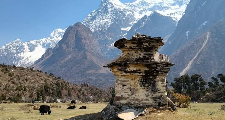 Circuito Manasalu : Te acerca al Tíbet. - Travel Corporation Nepal 6